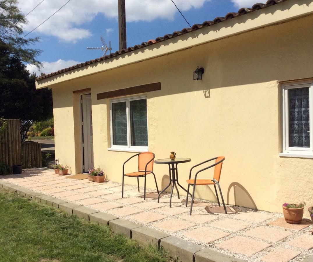Gite De Cerisier Saint-Nicolas-de-la-Grave Exterior foto